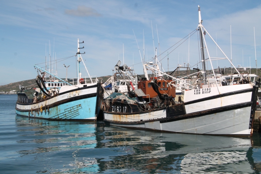 0 Bedroom Property for Sale in Harbour Heights Western Cape